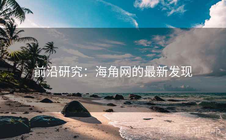 前沿研究：海角网的最新发现