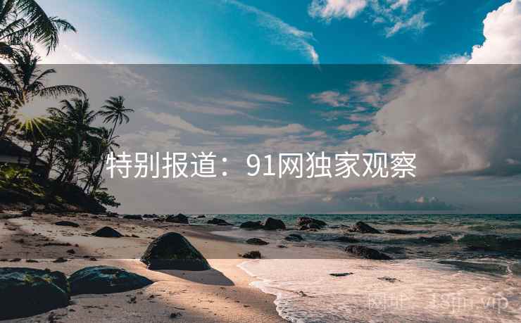 特别报道：91网独家观察