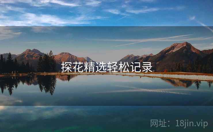 探花精选轻松记录
